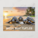 Recherche de tortue de mer verte cartes postales Plage
