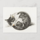 Recherche de dessin chat crayon cartes postales Noir et blanc