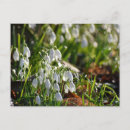Recherche de chute de neige cartes postales Nature
