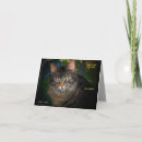 Recherche de ragondin vœux cartes Minou