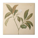 Recherche de cobalt carreaux Motifs