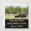 Recherche de le wyoming invitations Bison