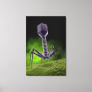 Recherche de microbiologie posters Endémique