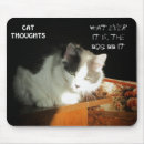 Recherche de photo drôle chien tapis souris Chat