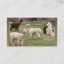 Recherche de perou cartes visite Mignon