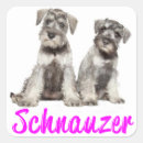 Recherche de schnauzer autocollants Chiot