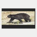 Recherche de le yukon Nature