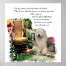 Recherche de vieux chien berger anglais posters Animaux familiers