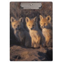 Recherche de renard porte blocs Bébé