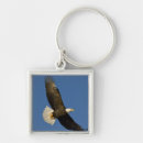 Recherche de de homer porteclés Aigle