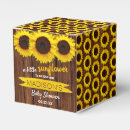 Recherche de tournesol ballotins Été