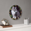 Recherche de persan horloges Chat