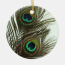 Recherche de paon ornements Plume de paon