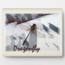 Recherche de effet plaques Libellule