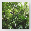 Recherche de vert forêt horloges Nature