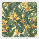 Recherche de oiseau du paradis autocollants Botanique