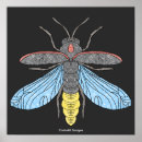 Recherche de petite bestiole posters Pour tous