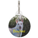 Recherche de canin photographie Berger allemand