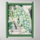 Recherche de vigne posters Branches