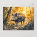 Recherche de sangliers cartes postales Illustration