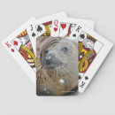 Recherche de joint jeux de cartes Faune