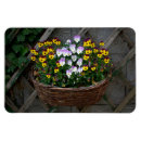 Recherche de viola magnete Pour tous
