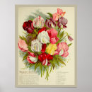 Recherche de catalogue posters Jardinage