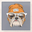 Recherche de animal familier bar Bouledogue
