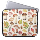 Recherche de feuille brun coques Aquarelle