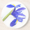 Recherche de iris dessous de verres Floral