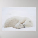 Recherche de changement climatique art Glace