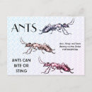 Recherche de ant vœux cartes Pour tous