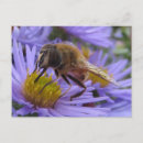 Recherche de abeille cartes postales Insecte