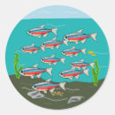 Recherche de aquariums autocollants Poisson tropical