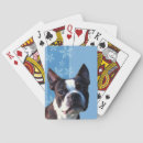 Recherche de terrier boston jeux de cartes Animaux