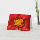 Recherche de orange de fleur vœux cartes Beau