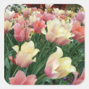 Recherche de dallas autocollants Floral