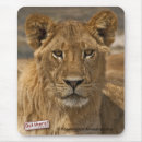 Recherche de le botswana tapis souris Lion