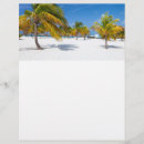 Recherche de palmier tropical prospectus Plage