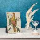 Recherche de paradis plaques Tropical