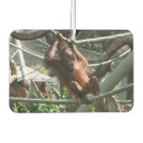 Recherche de zoo voiture accessoires Pour tous