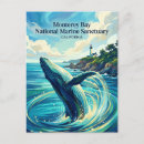 Recherche de loutre Loutre de mer