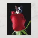 Recherche de happy valentines day posters Romance