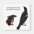 Recherche de aile rouge Oiseau