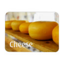 Recherche de fromage magnets Laitier