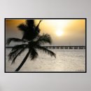 Recherche de sunset posters Palm