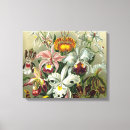 Recherche de orchidée art Jaune