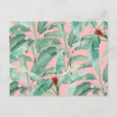 Recherche de bananier cartes postales Tropical
