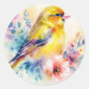 Recherche de canari autocollants Coloré