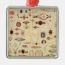 Recherche de 1890 ornements École